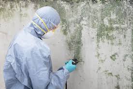 Best Mold Prevention Services  in Opp, AL